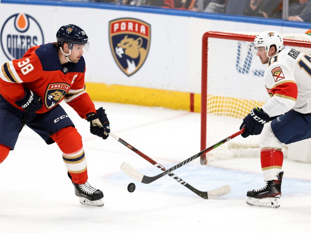 特别是在力 特别是在力